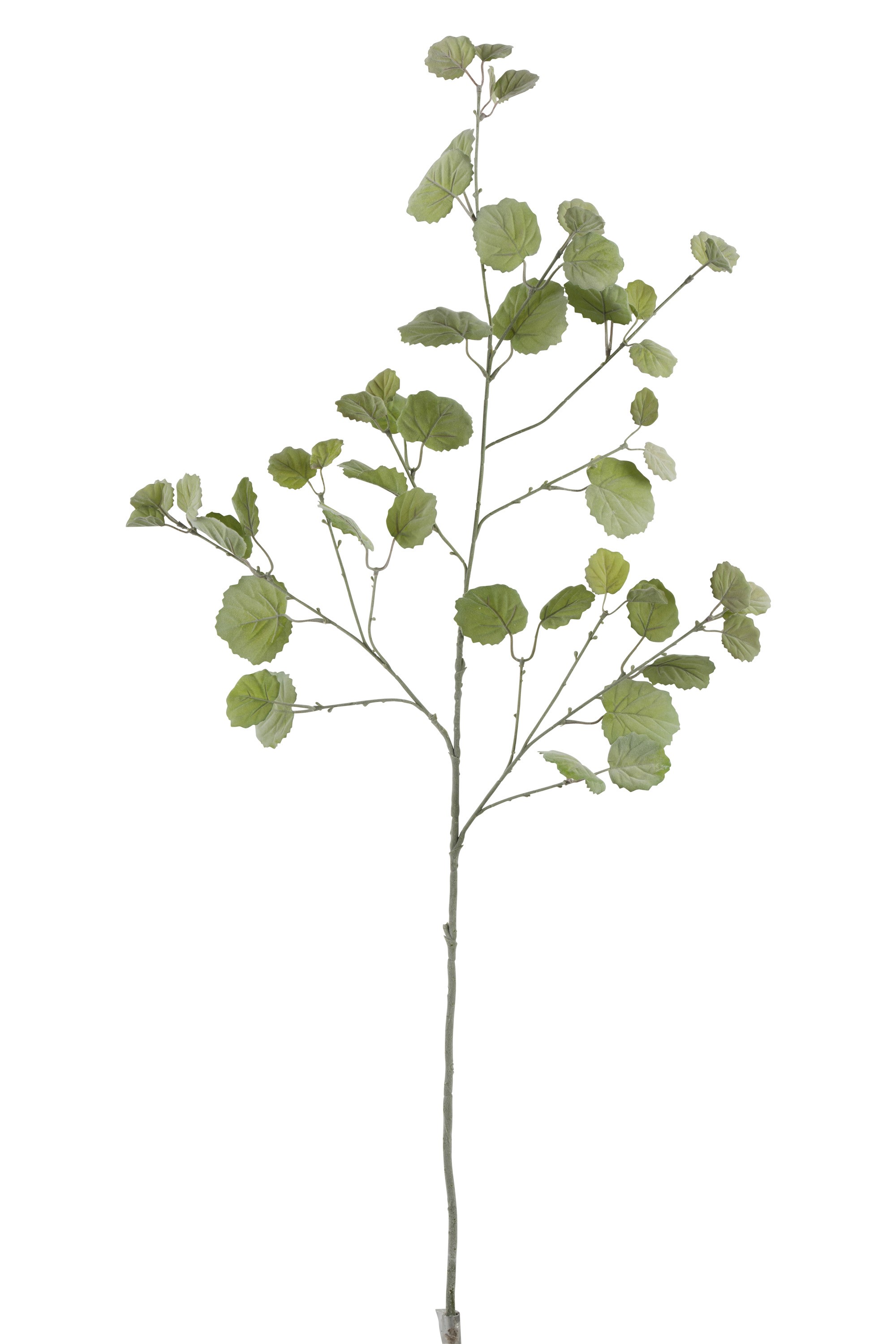 Zelená dekorační větvička s listy Branch Leaf - 124cm J-Line by Jolipa
