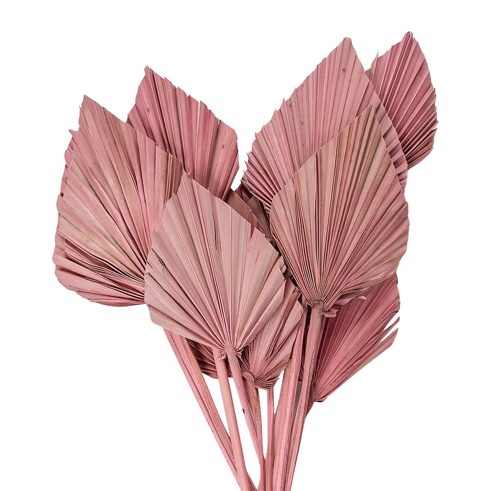 Růžová kytice sušené palmové listy - 55 cm (12ks) Clayre & Eef