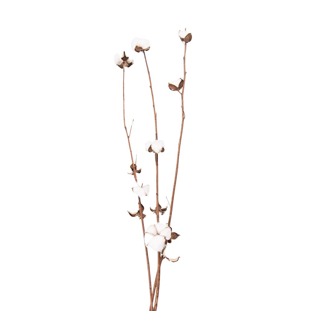 Bílo hnědá dekorační květina bavlník - 80 cm  Clayre & Eef