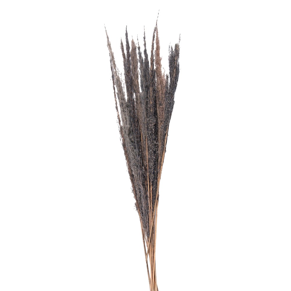 Přírodní šedá kytice sušené květy trávy - 100 cm (10ks) Clayre & Eef