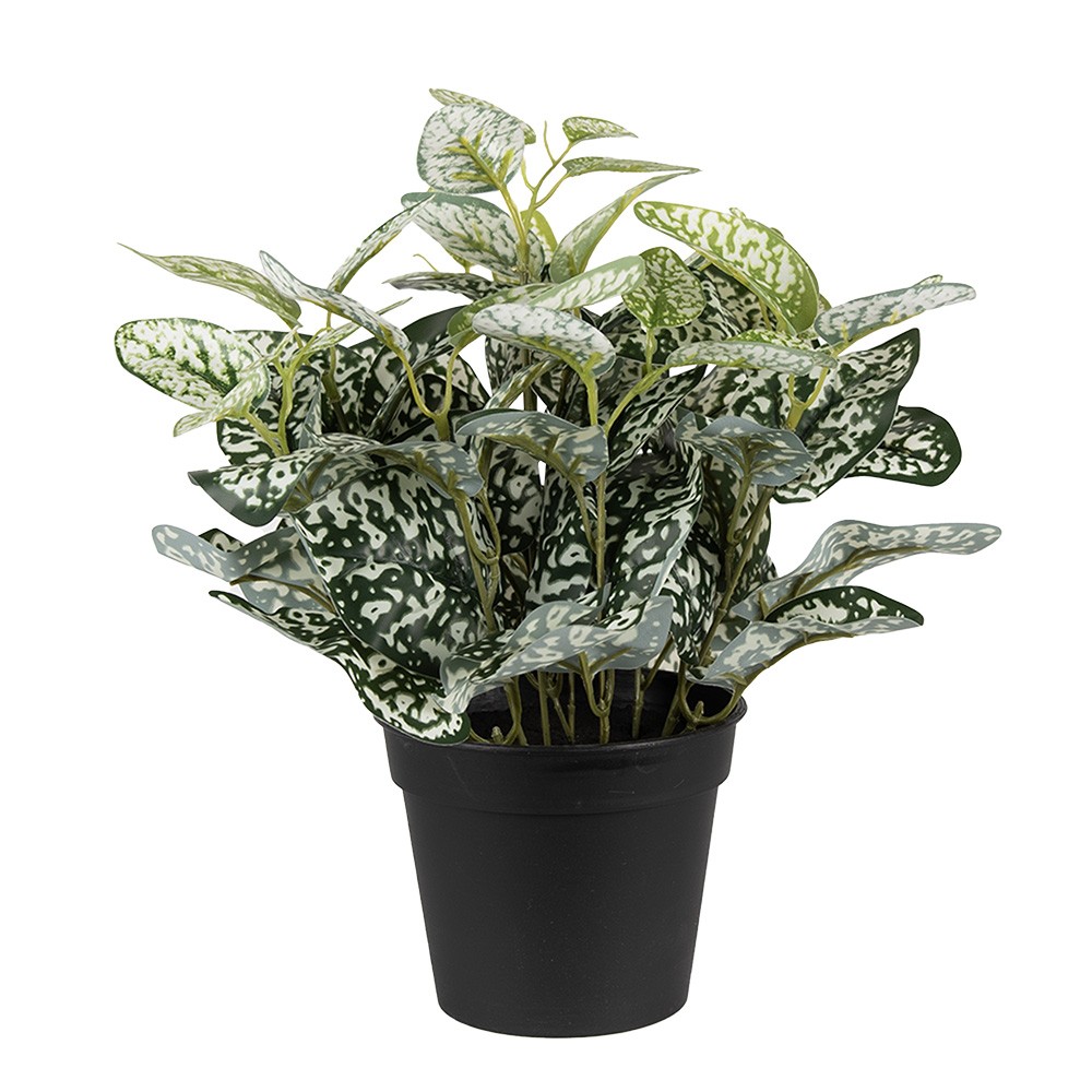 Dekorační zelená umělá rostlina - 27*27*34 cm Clayre & Eef