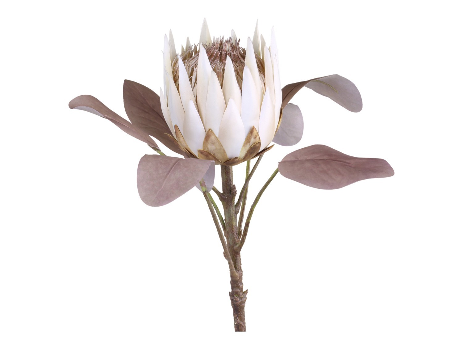 Dekorace umělá krémová květina Protea cream - 66 cm Chic Antique