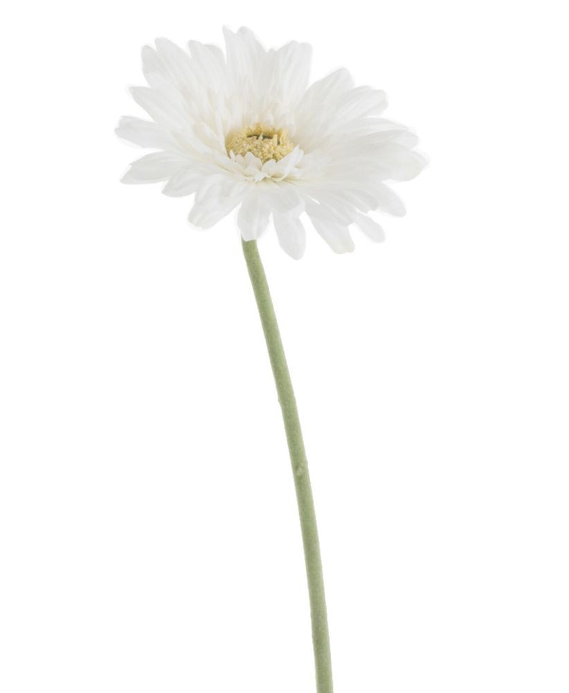 Bílá umělá dekorativní květina Gerbera - 10*10*64 cm J-Line by Jolipa