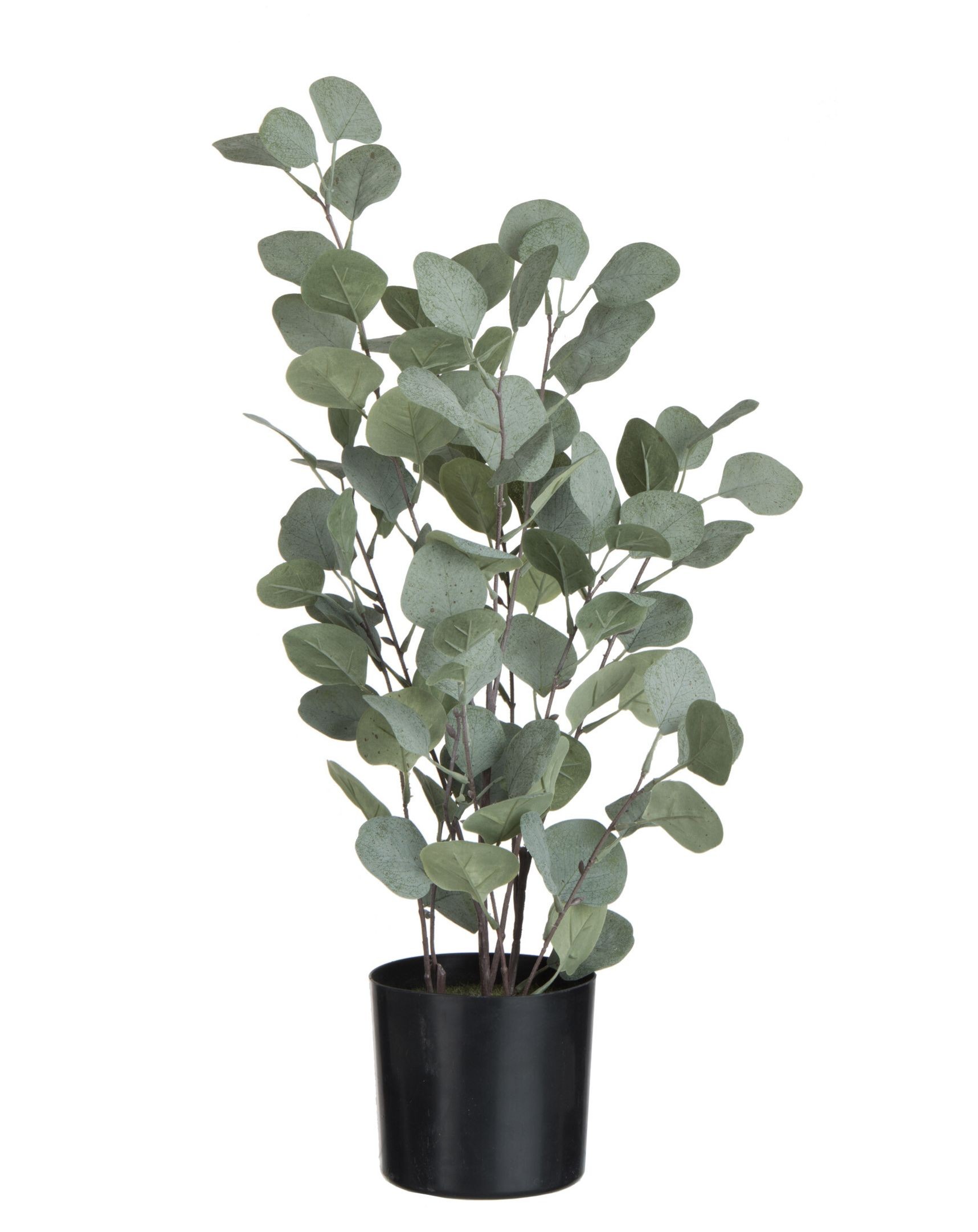 Dekorace Eucalyptus v květináči - Ø14*60 cm J-Line by Jolipa