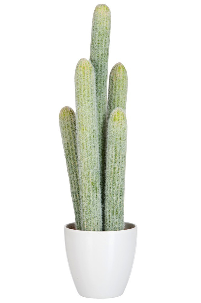 Okrasný kaktus v květináči - 16*14*54cm J-Line by Jolipa
