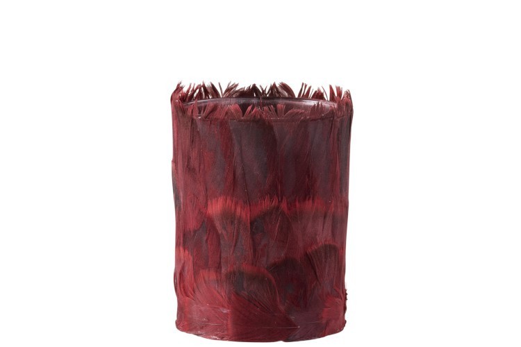 Skleněný svícen na čajovou svíčku ozdobený vínovými peříčky - 10*10*13 cm J-Line by Jolipa