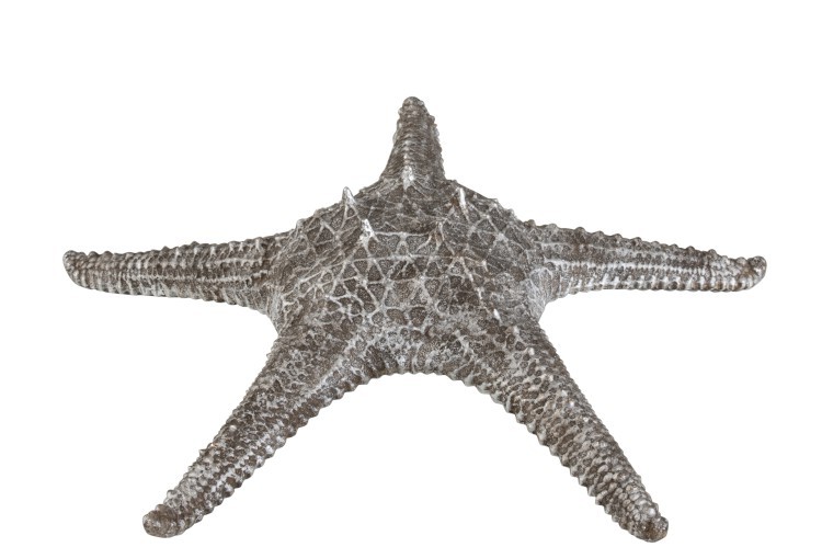 Dekorativní šedo stříbrná mořská hvězdice - 37*37*10 cm J-Line by Jolipa