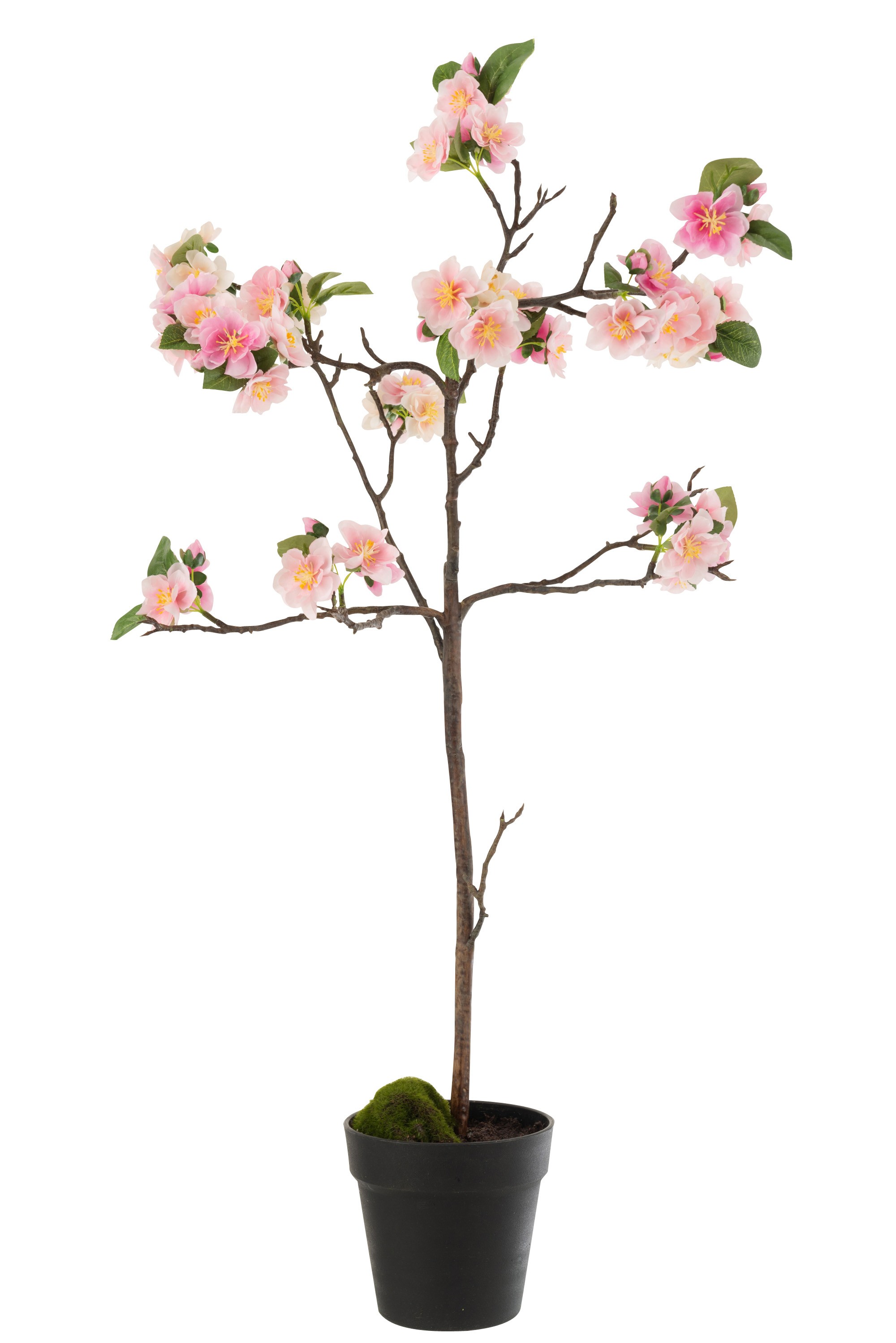 Dekorace umělý růžový kvetoucí stromek - 22*22*90 cm J-Line by Jolipa