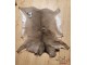 Přírodní jelení kožešina Tail Deer white - 90*120cm