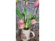 Béžový keramický dekorační džbán s růžemi Rosien - 16*11*18 cm