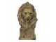 Zlatá antik dekorace busta lva Lion Gold - 32*26*60 cm