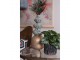 Designová skleněná váza Tripoli - 15*36 cm