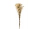 Svazek přírodní sušené trávy - 10*5*84 cm