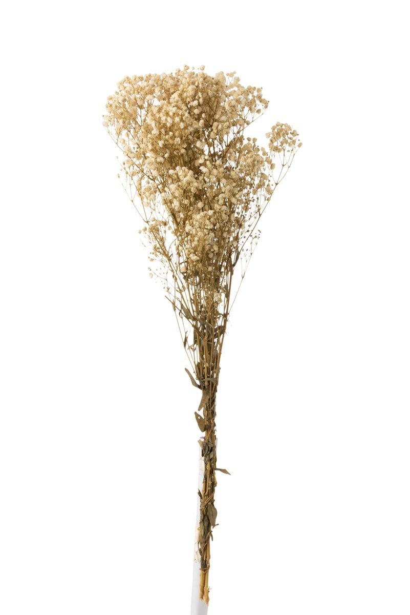 Svazek přírodní sušené trávy Gypsophila - 10*5*84 cm J-Line by Jolipa