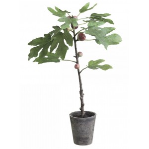 Dekorace umělý Fíkovník v keramickém květináči Old - 76cm