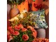Sametový polšář s dekorem květin Wild Flowers - 30*50*15cm