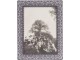 Fialový kovový fotorámeček s ornamenty - 17*22 cm/13*18 cm