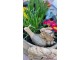 Dekorace ležící králík s ptáčkem na šnekovi - 15*6*11 cm