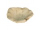 Cementové pítko pro ptáčky ve tvaru leknínového listu - 22*22*6 cm