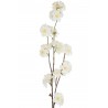 Dekorační umělá větvička s krémovými květy Kersenboom - 77,5 cm Barva: krémová, zelenáMateriál: poly