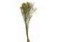 Svazek sušených květin - 12*10*70 cm