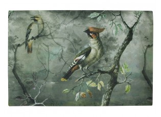 Zeleno-šedá rohožka s ptáčky Crested Bird - 75*50*1cm