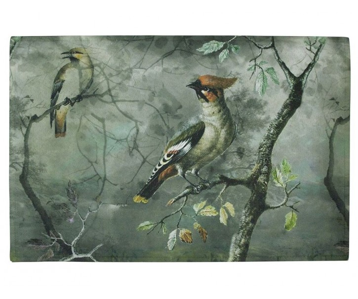 Zeleno-šedá rohožka s ptáčky Crested Bird - 75*50*1cm