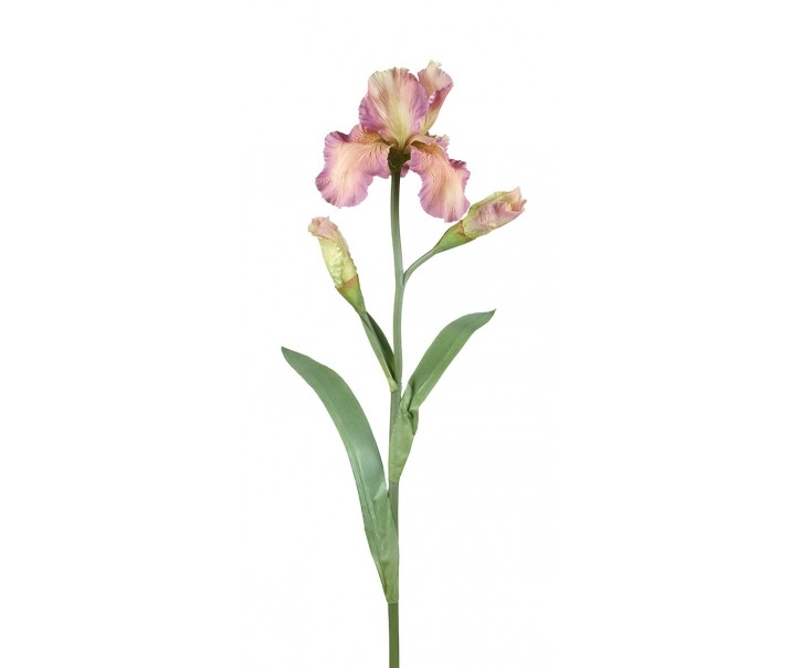Dekorace umělý růžovo-fialový kosatec Iris Pale - 81 cm