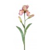 Dekorace umělý růžovo-fialový kosatec Iris Pale - 81 cm Barva: růžovo-fialová/ zelená/multiMateriál: pvc
