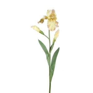 Dekorace umělý žlutý kosatec Iris Pale - 81 cm