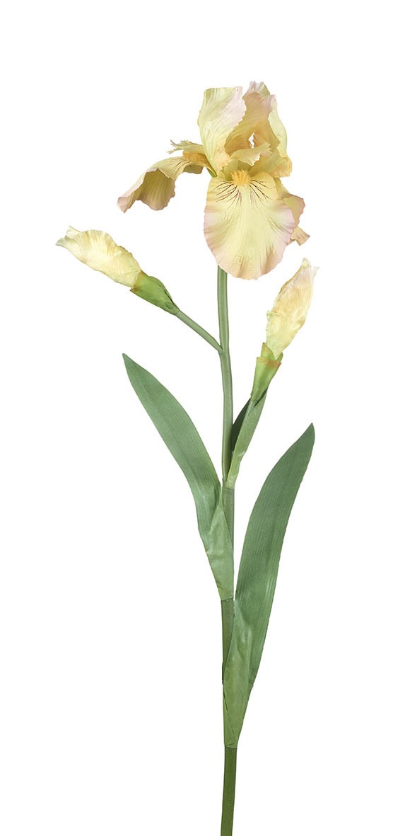 Dekorace umělý žlutý kosatec Iris Pale - 81 cm