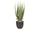 Umělá květina Aloe v květináči - 14*14*46 cm