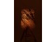 Stolní lampa z teakového dřeva a stínidlem z trávy Rafi grass - Ø 48*66 cm/ E27/ 70W