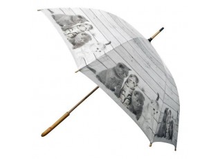 Šedý deštník s koťátky Kittens - 105*105*88cm