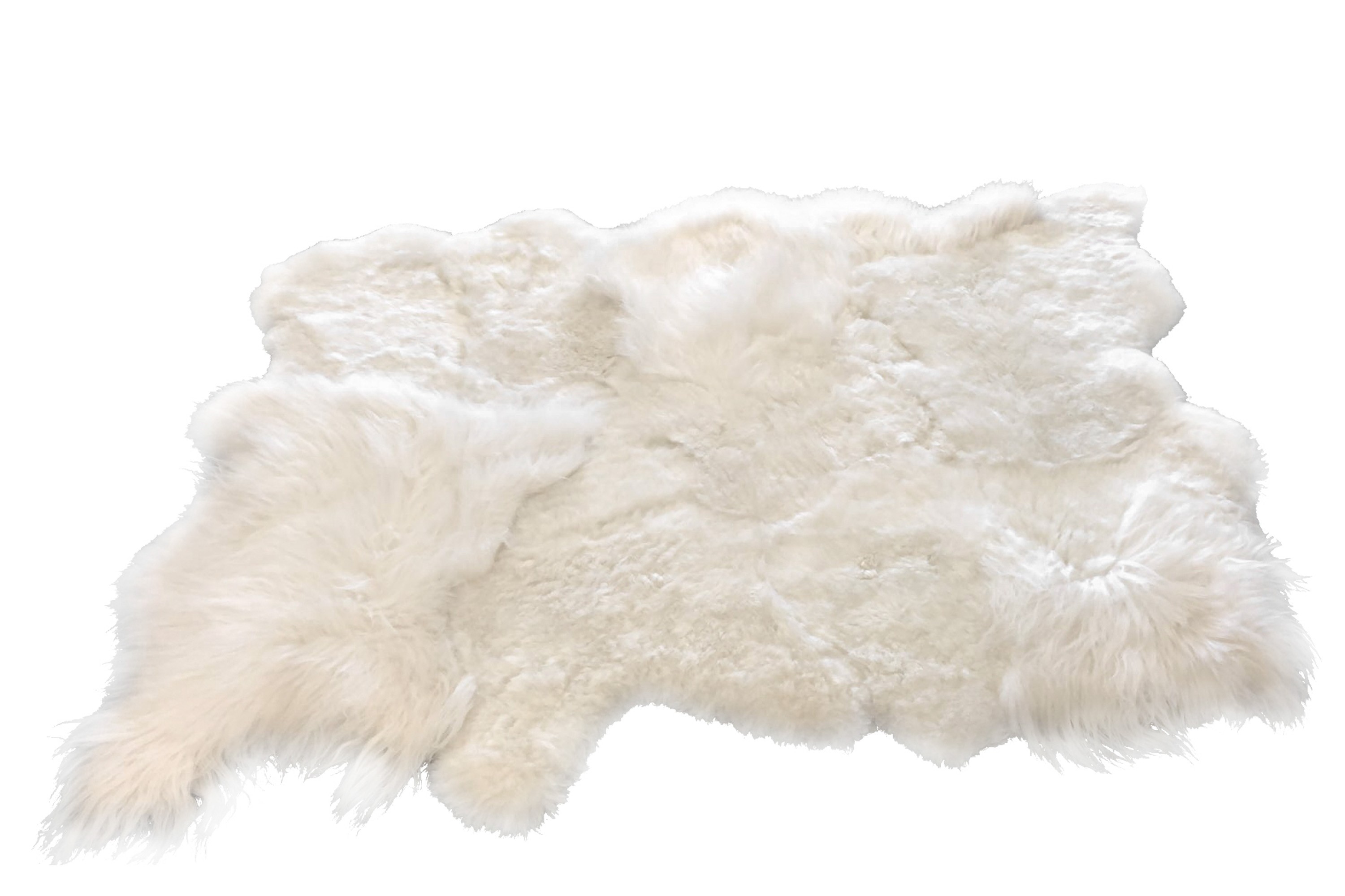 Bílý koberec z ovčí kůže Sheep white - 300*213*12cm J-Line by Jolipa