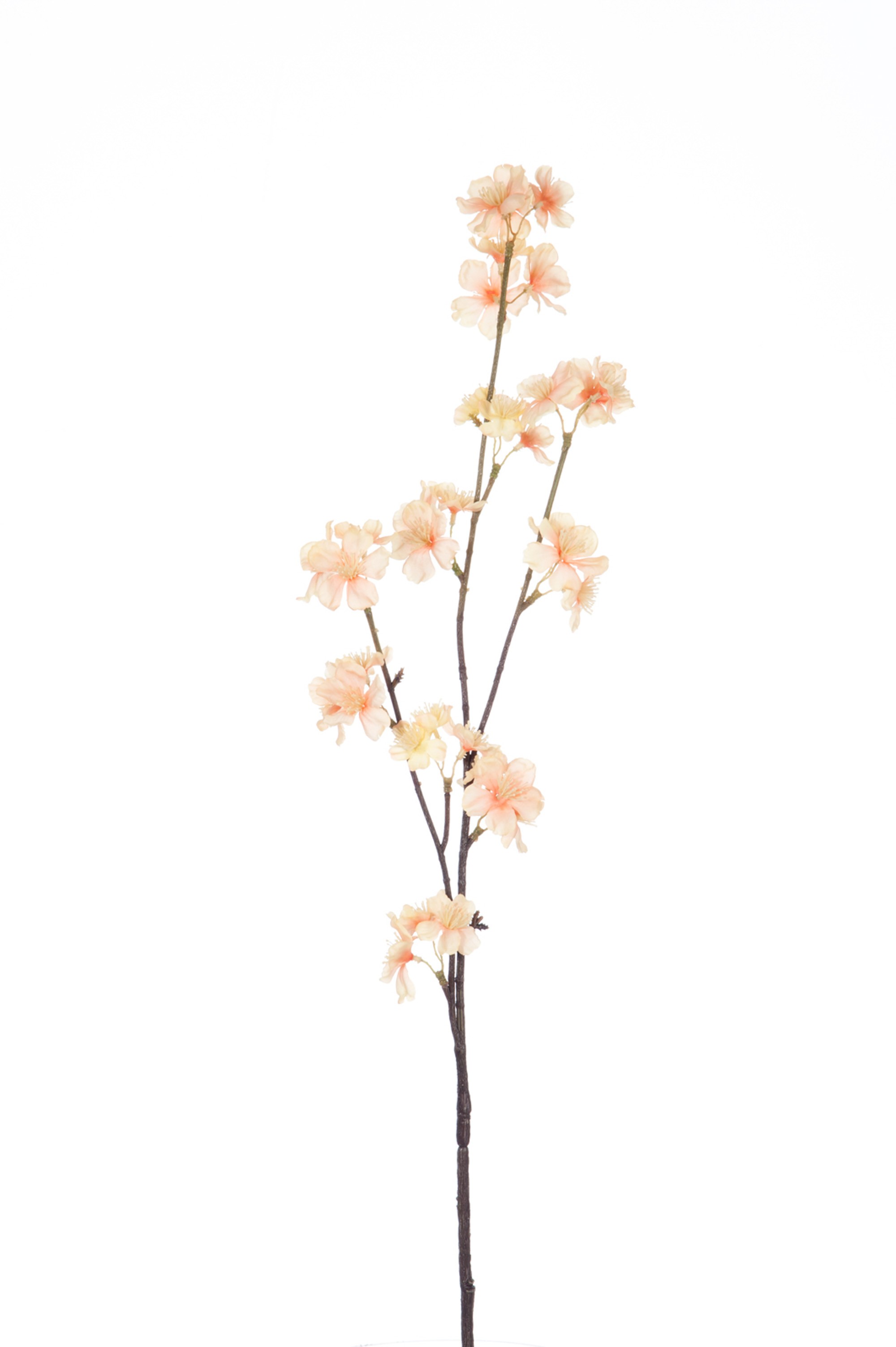 Větvička s lososovými květy Blossom - 80 cm J-Line by Jolipa