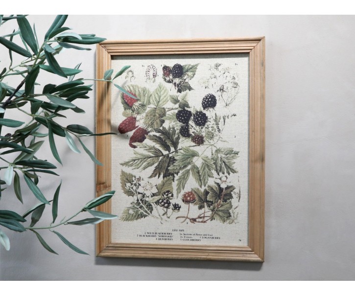 Vintage obraz s motivem lesních plodů v dřevěném rámu - 33*43 cm