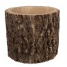 Přírodní květináč z kmene stromu Paulownia - Ø 35*30cm
