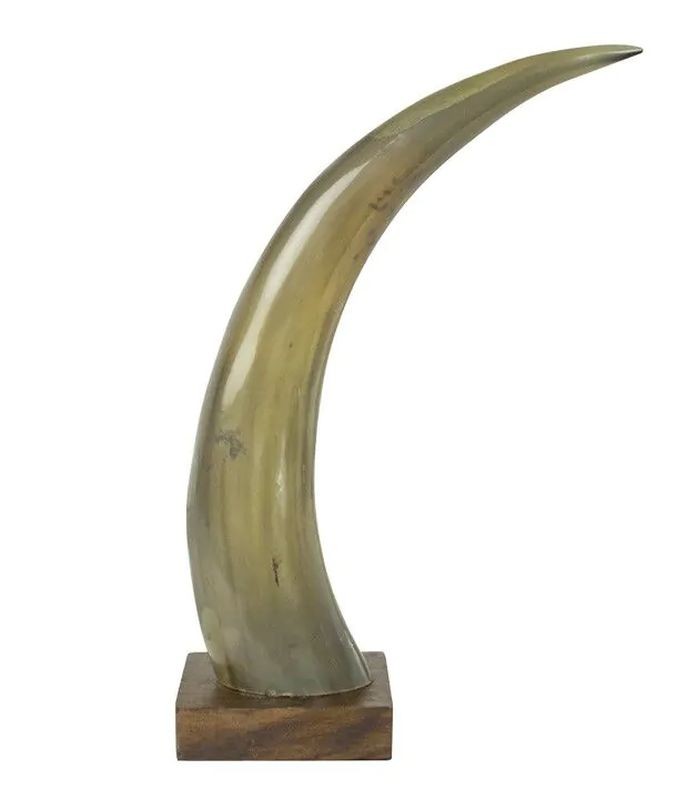 Dekorativní roh Bizoň na dřevěném podstavci - 35cm