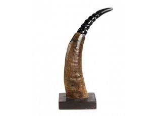 Dekorativní roh Buvol na dřevěném podstavci (bubalus bubalis) - 30cm 
