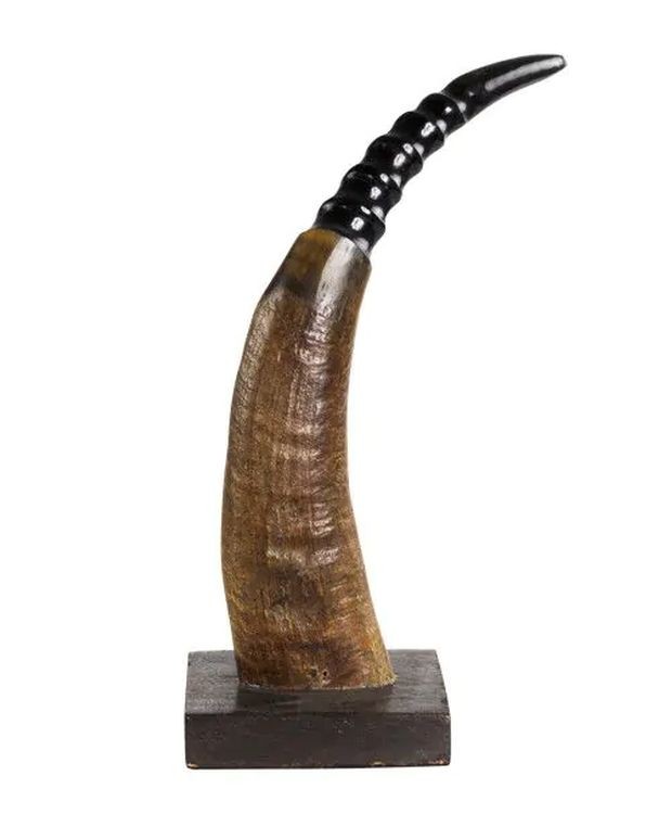 Dekorativní roh Buvol na dřevěném podstavci (bubalus bubalis) - 30cm HEHHR30