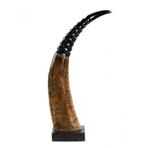 Dekorativní roh Buvol na dřevěném podstavci (bubalus bubalis) - 45cm