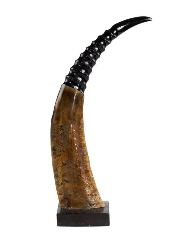 Dekorativní roh Buvol na dřevěném podstavci (bubalus bubalis) - 45cm