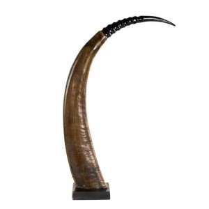 Dekorativní roh Buvol na dřevěném podstavci (bubalus bubalis) - 65cm