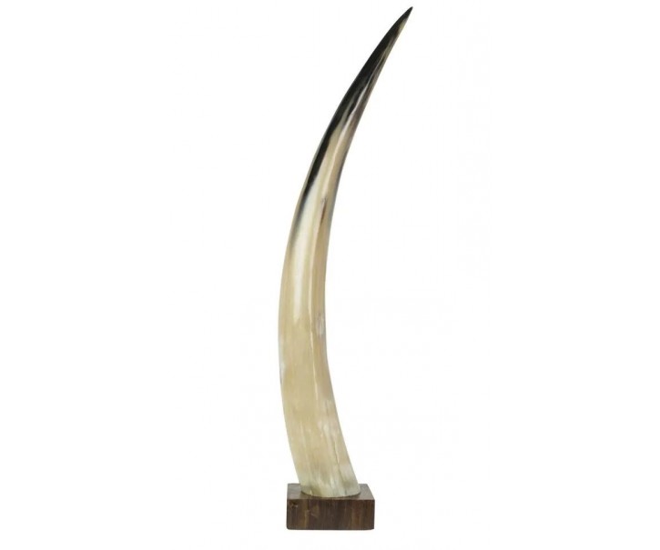 Dekorativní roh Bizon na dřevěném podstavci - 65cm
