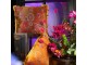 Taupe sametový polštář s květy a zlatými třásněmi Floral - 45*45*10cm