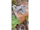 Bronzovo - hnědý antik květináč ležící Anděl - 30*16*15 cm
