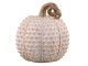 Latté antik dekorace dýně Pumpkin antique - Ø 21*24 cm