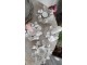 Bílý antik kovový svícen se šiškami a květy Clair Blanc - 10*10*6cm