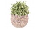 Fialový cementový obal na květináč s květy Violet - Ø 18*13 cm